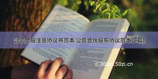 公司合股注资协议书范本 公司合伙股东协议范本(6篇)