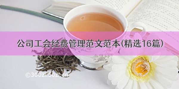 公司工会经费管理范文范本(精选16篇)