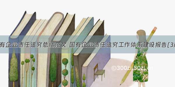 国有企业责任追究总结范文 国有企业责任追究工作体系建设报告(3篇)