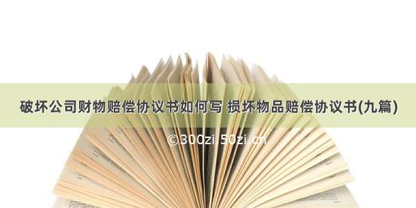 破坏公司财物赔偿协议书如何写 损坏物品赔偿协议书(九篇)