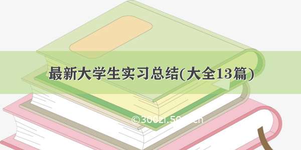 最新大学生实习总结(大全13篇)