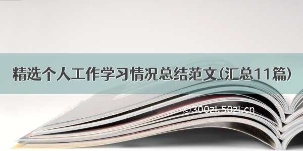 精选个人工作学习情况总结范文(汇总11篇)