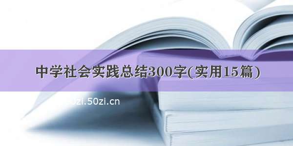 中学社会实践总结300字(实用15篇)