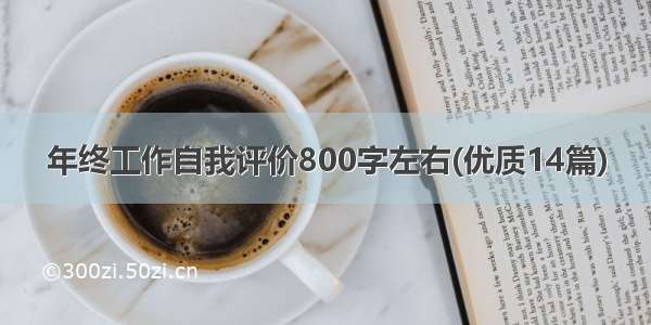 年终工作自我评价800字左右(优质14篇)