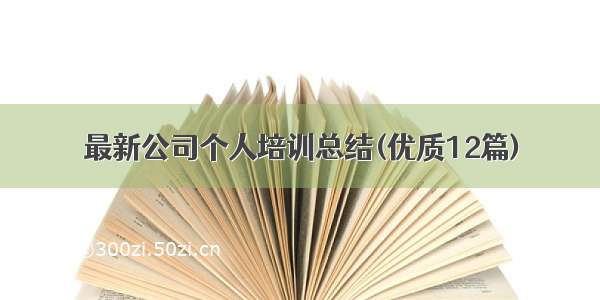 最新公司个人培训总结(优质12篇)