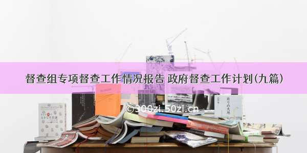 督查组专项督查工作情况报告 政府督查工作计划(九篇)