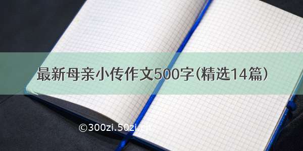 最新母亲小传作文500字(精选14篇)