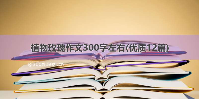 植物玫瑰作文300字左右(优质12篇)