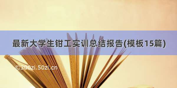 最新大学生钳工实训总结报告(模板15篇)