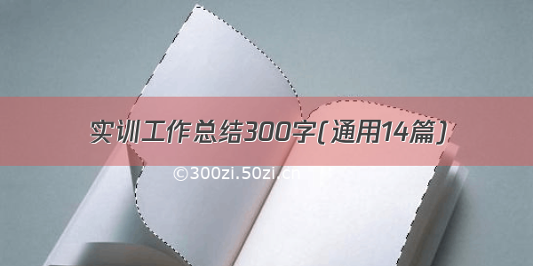 实训工作总结300字(通用14篇)