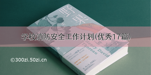 学校消防安全工作计划(优秀17篇)