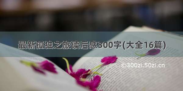 最新孤独之旅读后感300字(大全16篇)