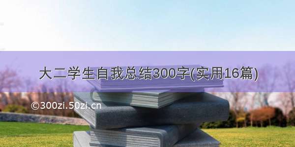 大二学生自我总结300字(实用16篇)