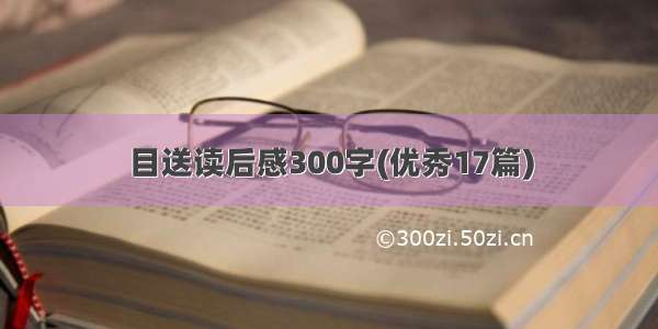 目送读后感300字(优秀17篇)