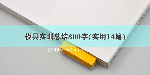 模具实训总结300字(实用14篇)