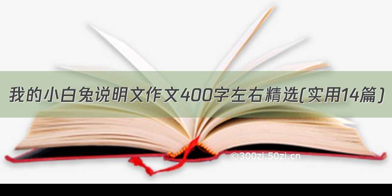 我的小白兔说明文作文400字左右精选(实用14篇)