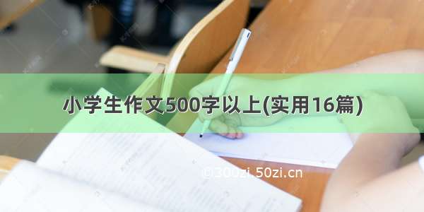 小学生作文500字以上(实用16篇)