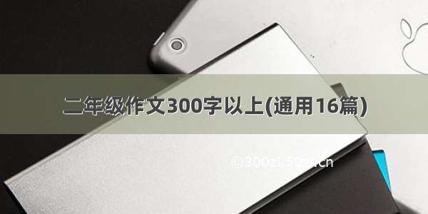 二年级作文300字以上(通用16篇)