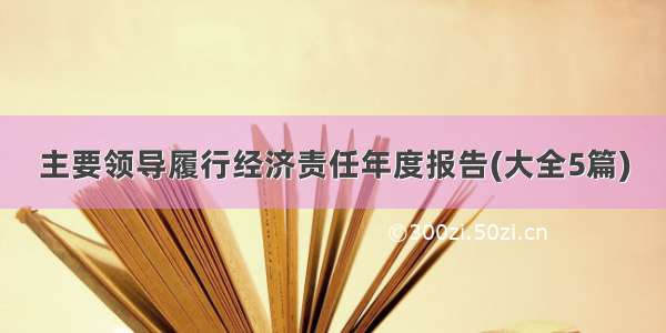 主要领导履行经济责任年度报告(大全5篇)