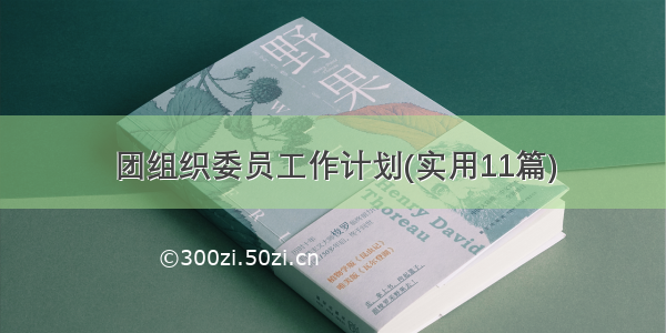 团组织委员工作计划(实用11篇)