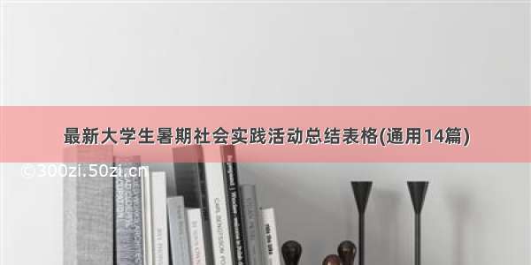 最新大学生暑期社会实践活动总结表格(通用14篇)