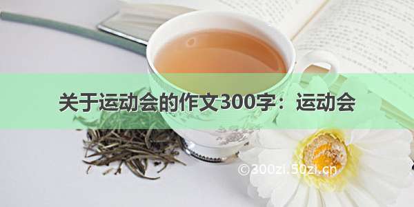 关于运动会的作文300字：运动会