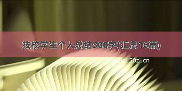 技校学生个人总结300字(汇总16篇)