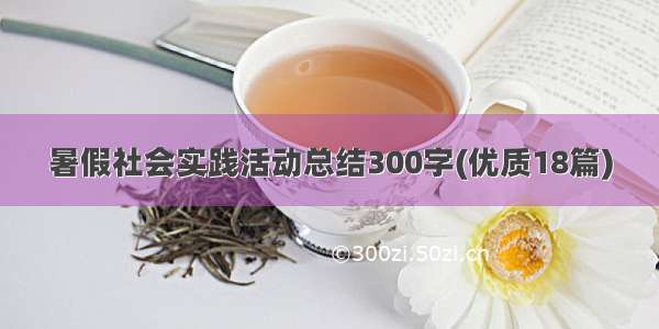 暑假社会实践活动总结300字(优质18篇)