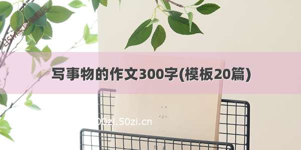 写事物的作文300字(模板20篇)