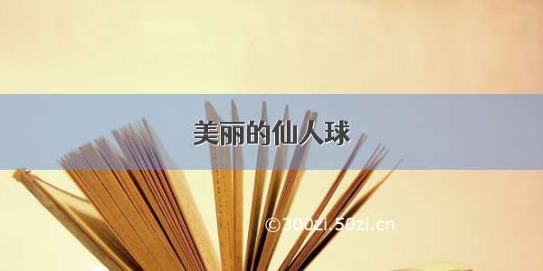 美丽的仙人球