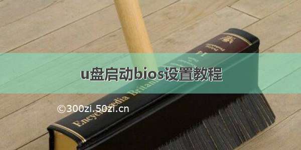 u盘启动bios设置教程