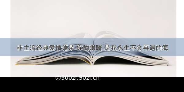 非主流经典爱情语录 你的眼睛 是我永生不会再遇的海