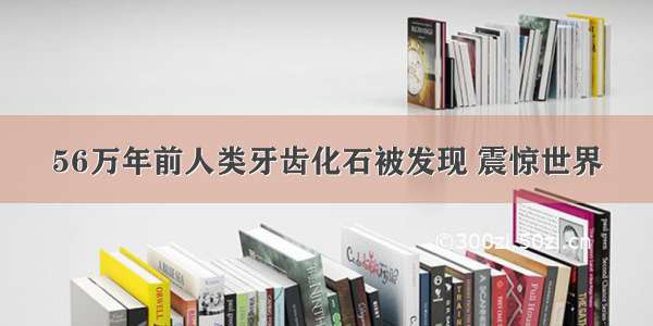 56万年前人类牙齿化石被发现 震惊世界