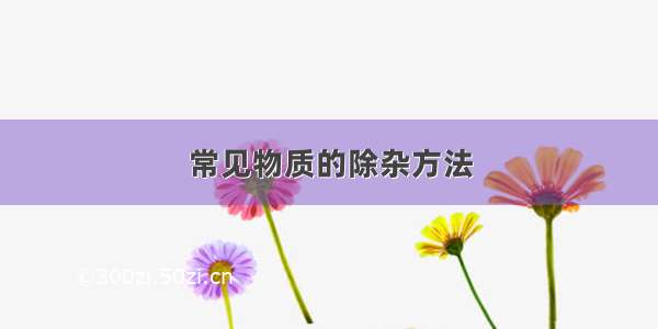 常见物质的除杂方法