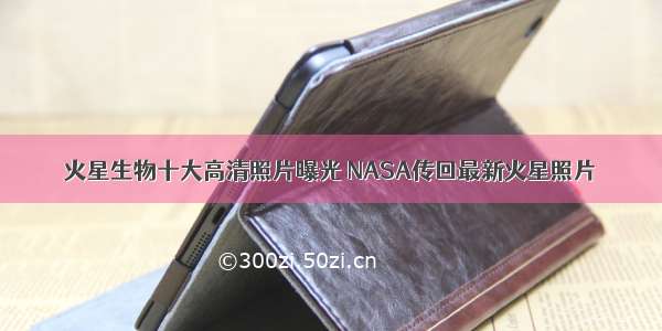 火星生物十大高清照片曝光 NASA传回最新火星照片