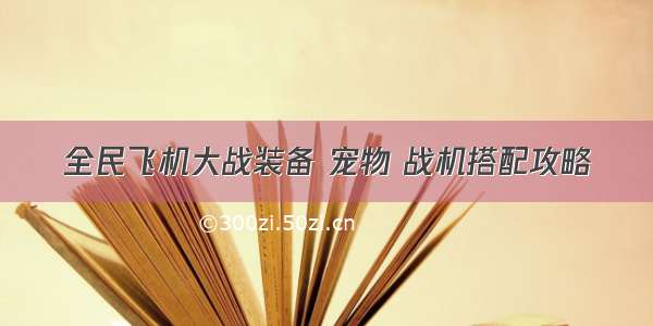 全民飞机大战装备 宠物 战机搭配攻略