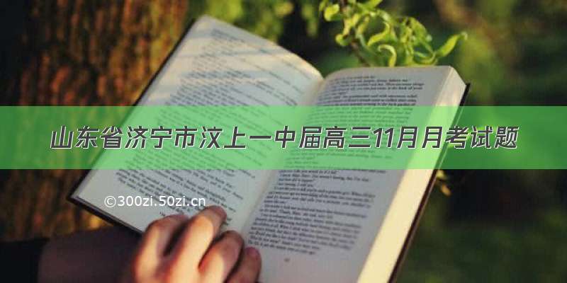 山东省济宁市汶上一中届高三11月月考试题