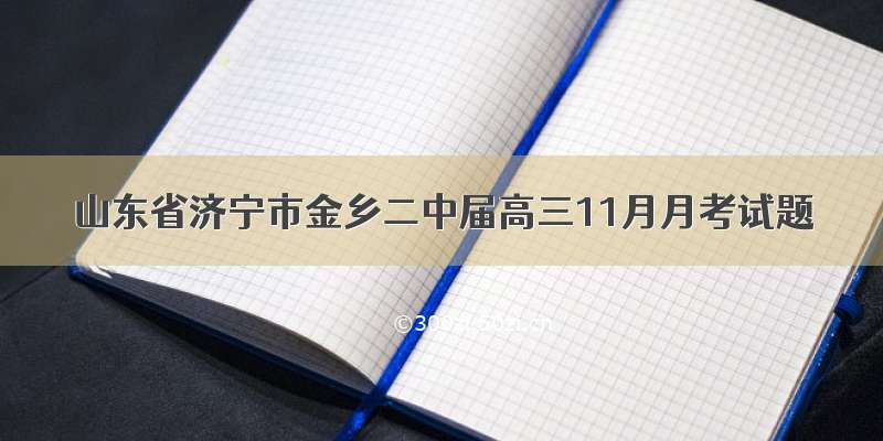 山东省济宁市金乡二中届高三11月月考试题