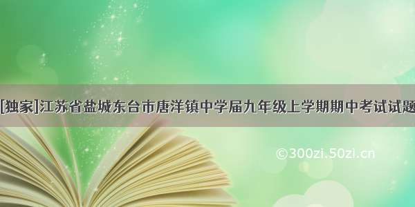 [独家]江苏省盐城东台市唐洋镇中学届九年级上学期期中考试试题