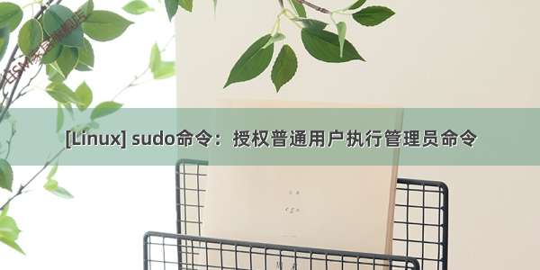 [Linux] sudo命令：授权普通用户执行管理员命令