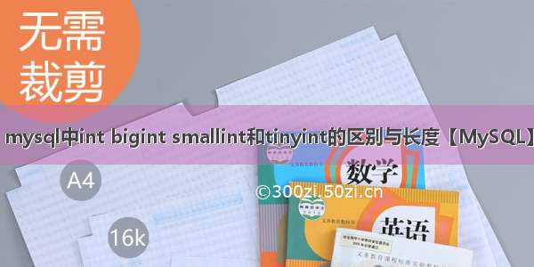 mysql中int bigint smallint和tinyint的区别与长度【MySQL】