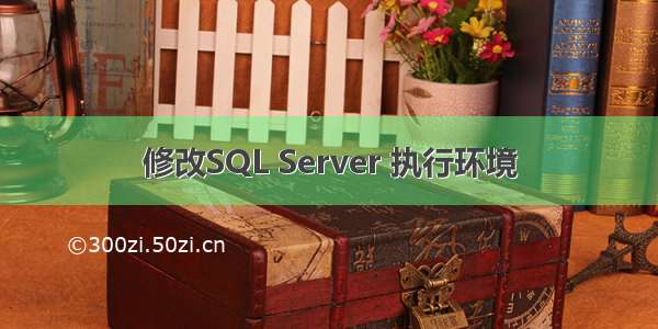 修改SQL Server 执行环境