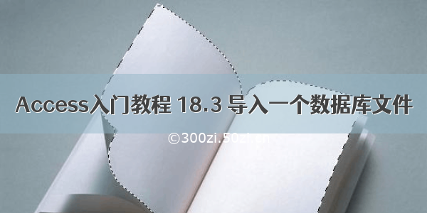 Access入门教程 18.3 导入一个数据库文件