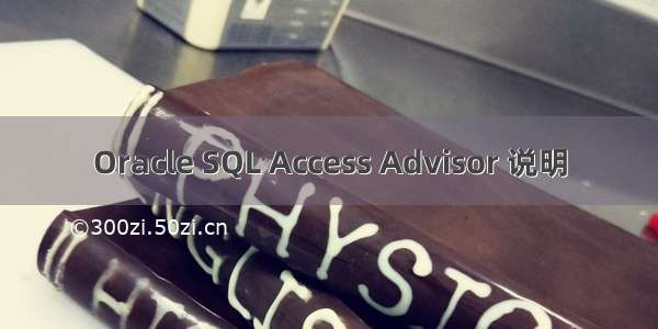 Oracle SQL Access Advisor 说明