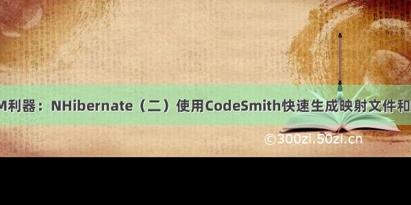 ORM利器：NHibernate（二）使用CodeSmith快速生成映射文件和映射