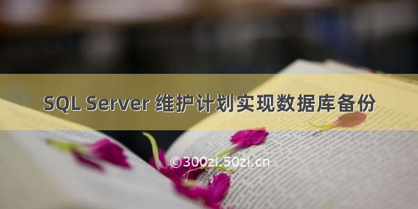 SQL Server 维护计划实现数据库备份