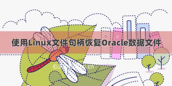 使用Linux文件句柄恢复Oracle数据文件