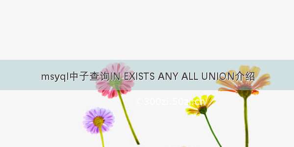 msyql中子查询IN EXISTS ANY ALL UNION介绍