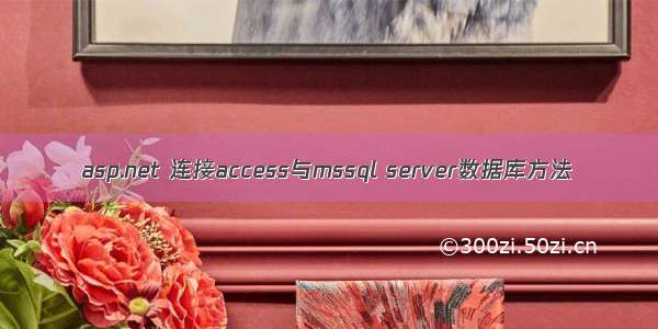 asp.net 连接access与mssql server数据库方法