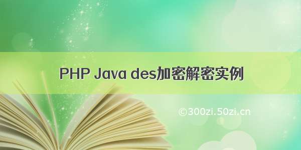 PHP Java des加密解密实例